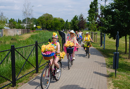Rowerowa Parada Przebierańców (photo)